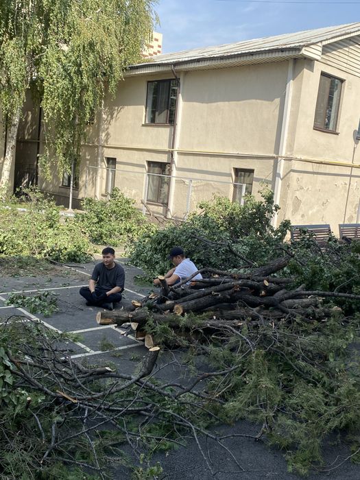 Отын, дрова
