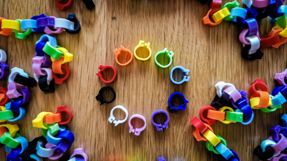 OFERTA Inele Clipsuri Colorate Pasari/ Cabluri/ Fire - 10 Culori