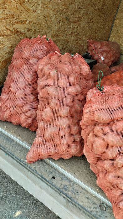 Картошка красная Текели отборная крупная цена 250 тенге