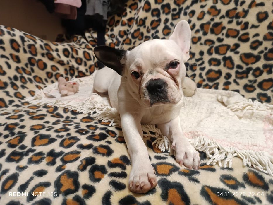 Девочка 5 месяцев