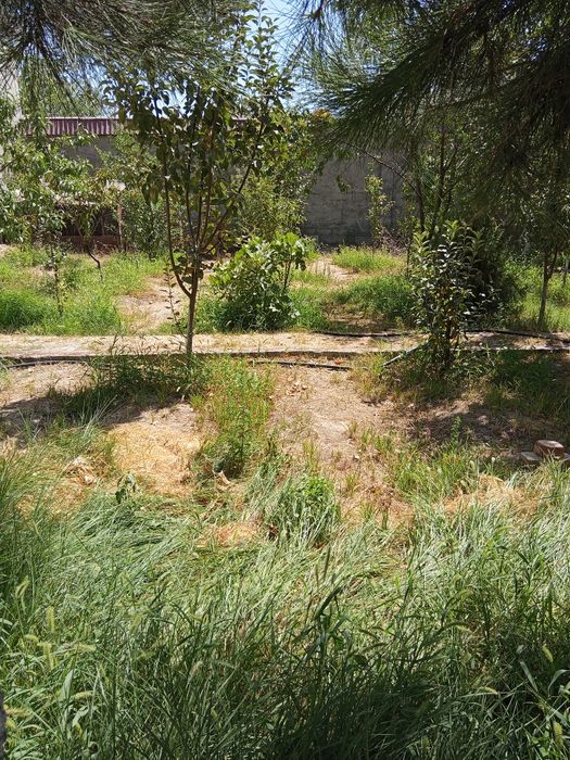 4 sotix yer sotiladi