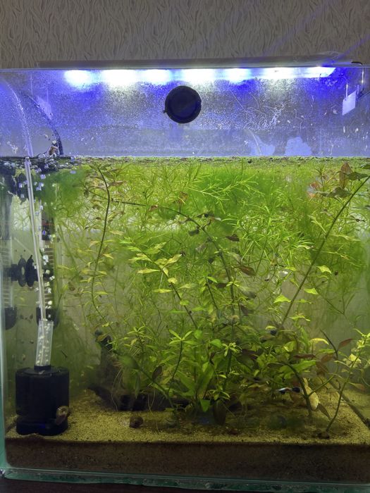 Продам аквариум на 40-45 литров