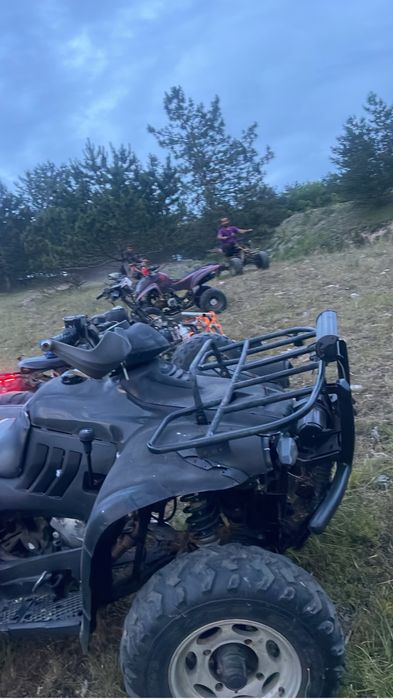 Atv linhai worker 2x4