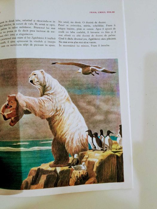 Cezar Petrescu - Fram , ursul polar