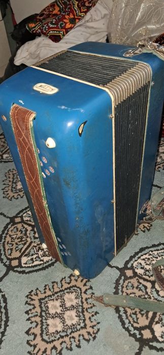 Akkardeon sifati zor