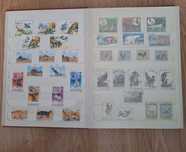 500 timbre deosebite + clasor