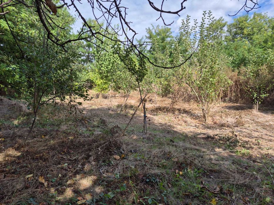 Teren intravilan 1500mp Bitina-Pamanteni Com Movilita Ialomita E85