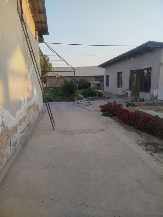 Hovli uy sptiladi