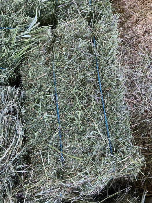 Vand baloti : paie , fan si lucerna