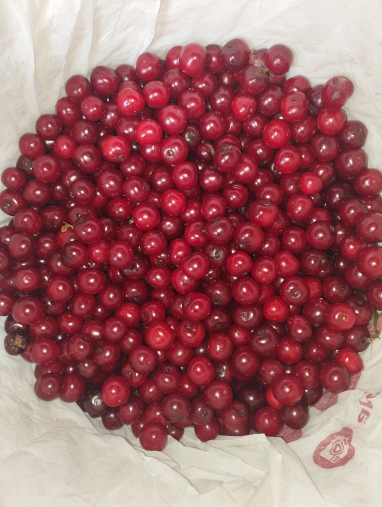 Продам вишню спелую,чистую,сладкую