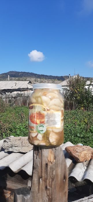 Грибы:грузи,маслята