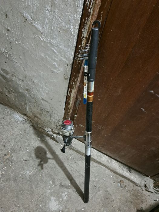 Bete pescuit , plase