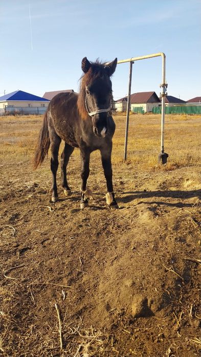 Тай сатылады 400000т