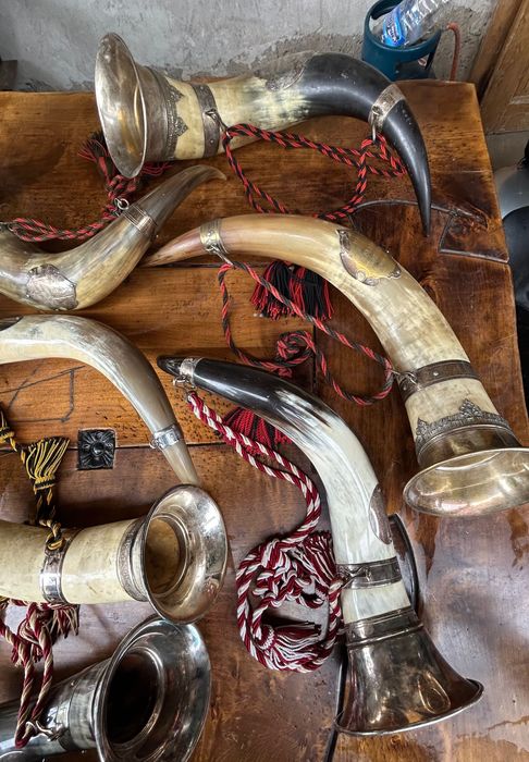 Колекция антични рогове