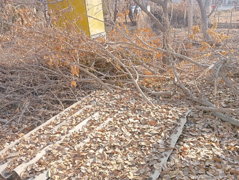 У́тинлар сотилоди