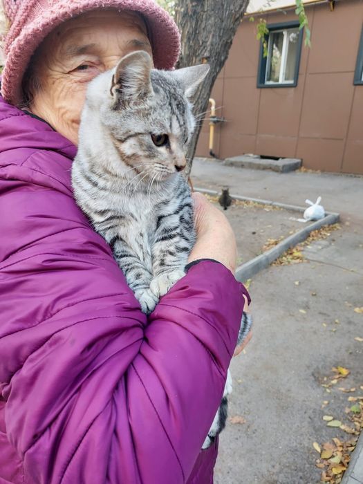 Йося ищет любящий дом!