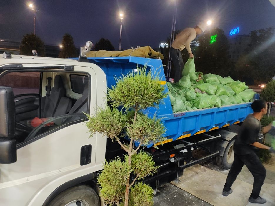 ISUZU самасвал вызов услуг