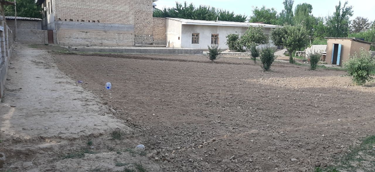 Toshkent tumani shoroda joylashgan uchastka