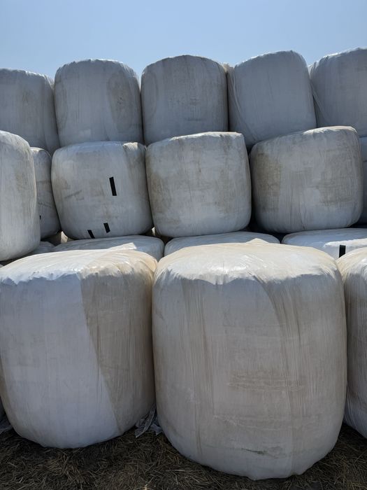 Baloti Infoliati de Siloz