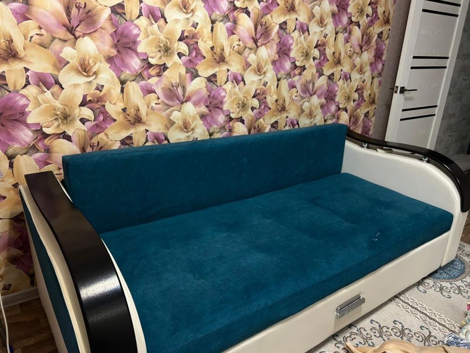 Двухместные Диван кровать