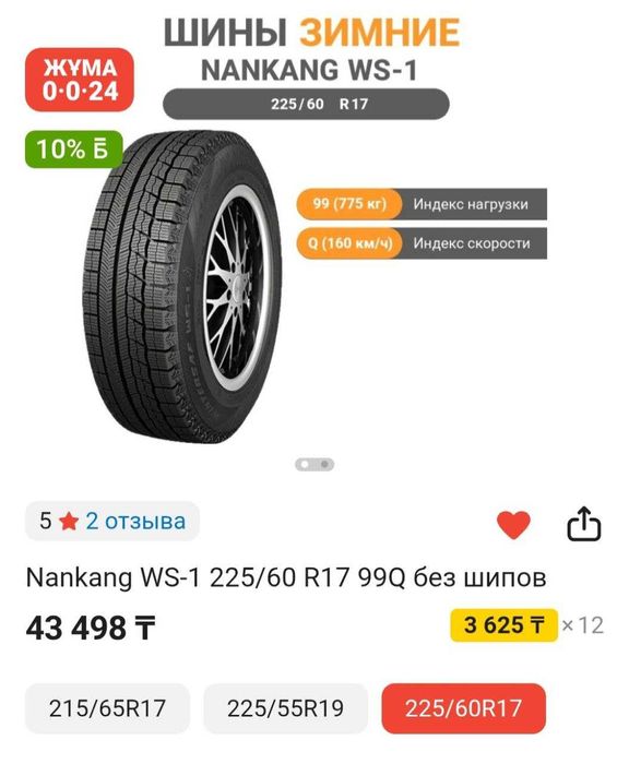 Зимние шины Nankang WS-1, 225/60R17
