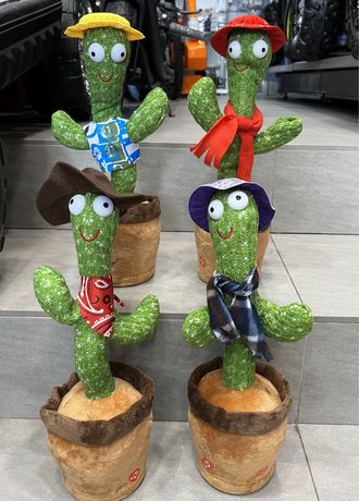 Cactus dansator 4 modele
