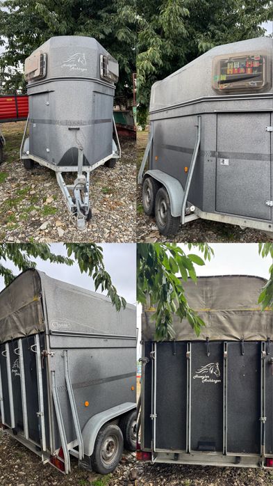 Remorca animale cai import Germania