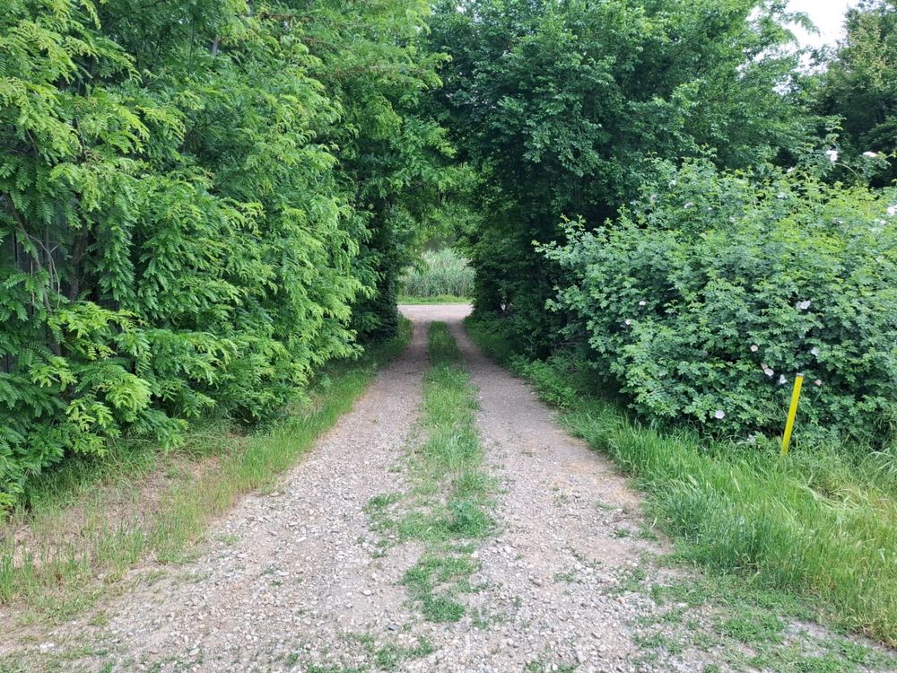 Teren intravilan-branesti ilfov-langa lac si padure