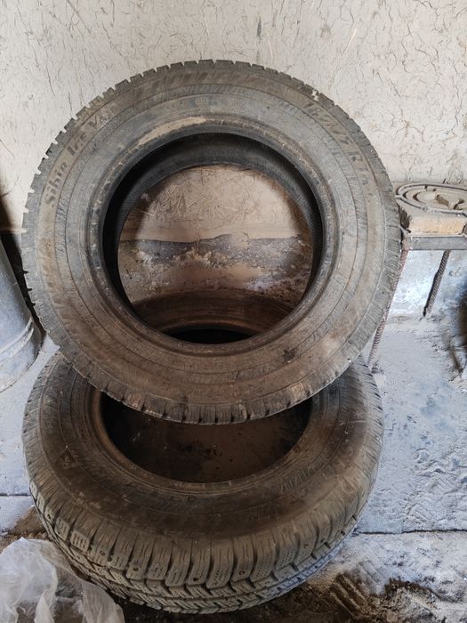 Зимний балон Газель