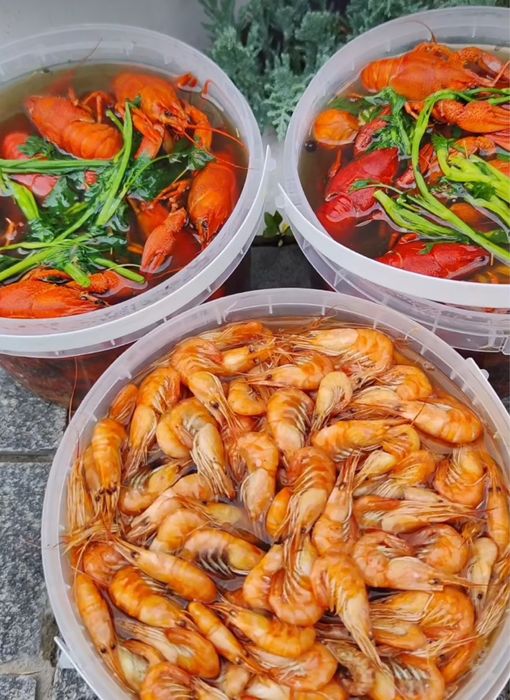 Раки,креветки,крабы,вареные живые