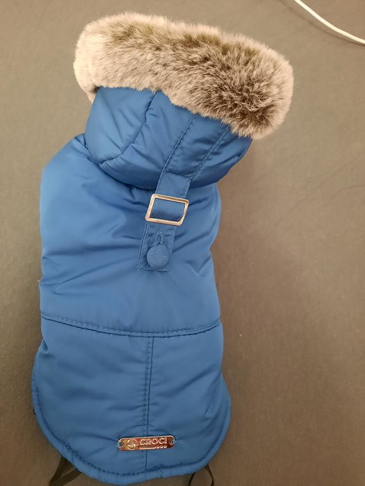 Зимно кучешко яке