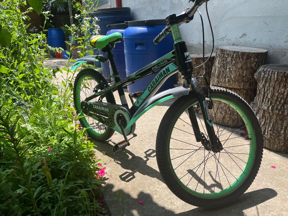 Bicicleta de vanzare