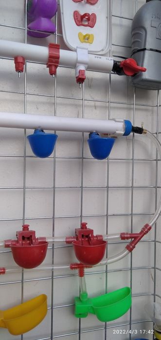 Поилкы для кур и перепленкы