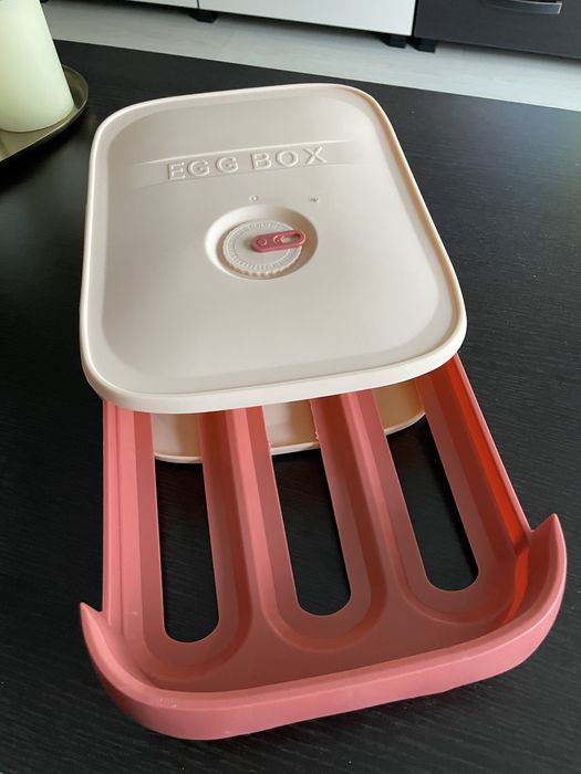 Organizator Oua Frigider