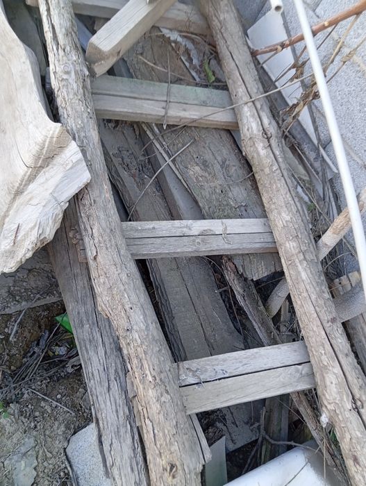 Дрова дрова дрова