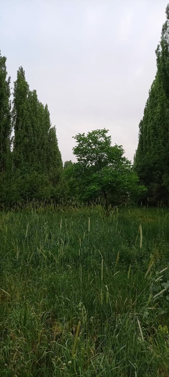 Жер телімі табиғаты жақсы