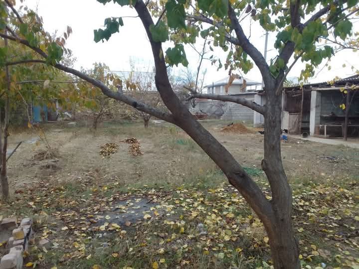 Продается участок, дом, в Куй Чирчикском р- оне.