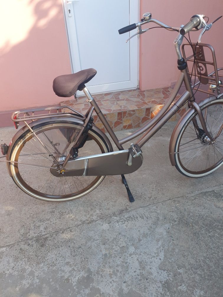 Vând bicicleta de damă