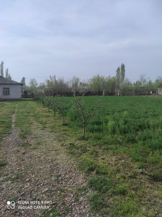 Sroʻchni uy sotiladi.