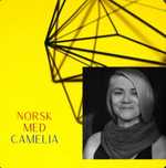 Meditații limba norvegiană cu un profesionist.