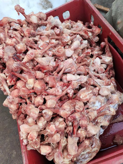 Куринные косточки для собак