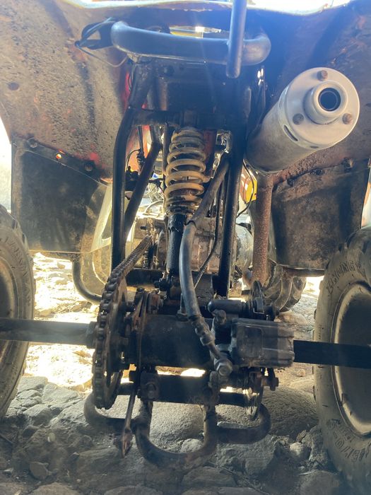 Vand atv vopsit recent de 110
