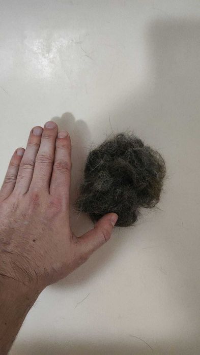 Perie cu abur rece pentru pisici, catei etc NOUA