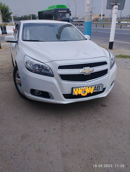 Малибу 1.  1 позиция