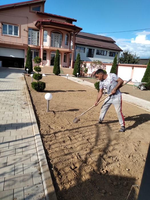 Gazon rulou calitatea premium