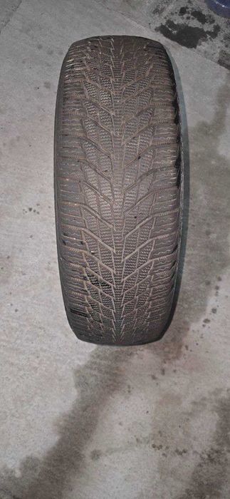 Nexen WINGUARD ice3