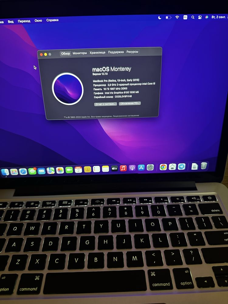 MacBook Pro 2015 • 16GB / 500GB