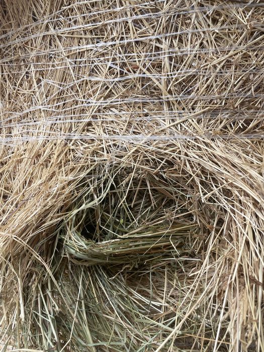 Baloti rotunzi mari fan