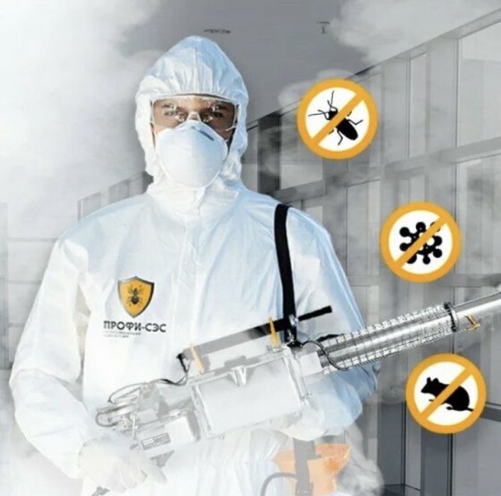 Термиттерге қарсы дезинфекция жасаймыз Ақтау