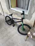 Bmx mongoose
